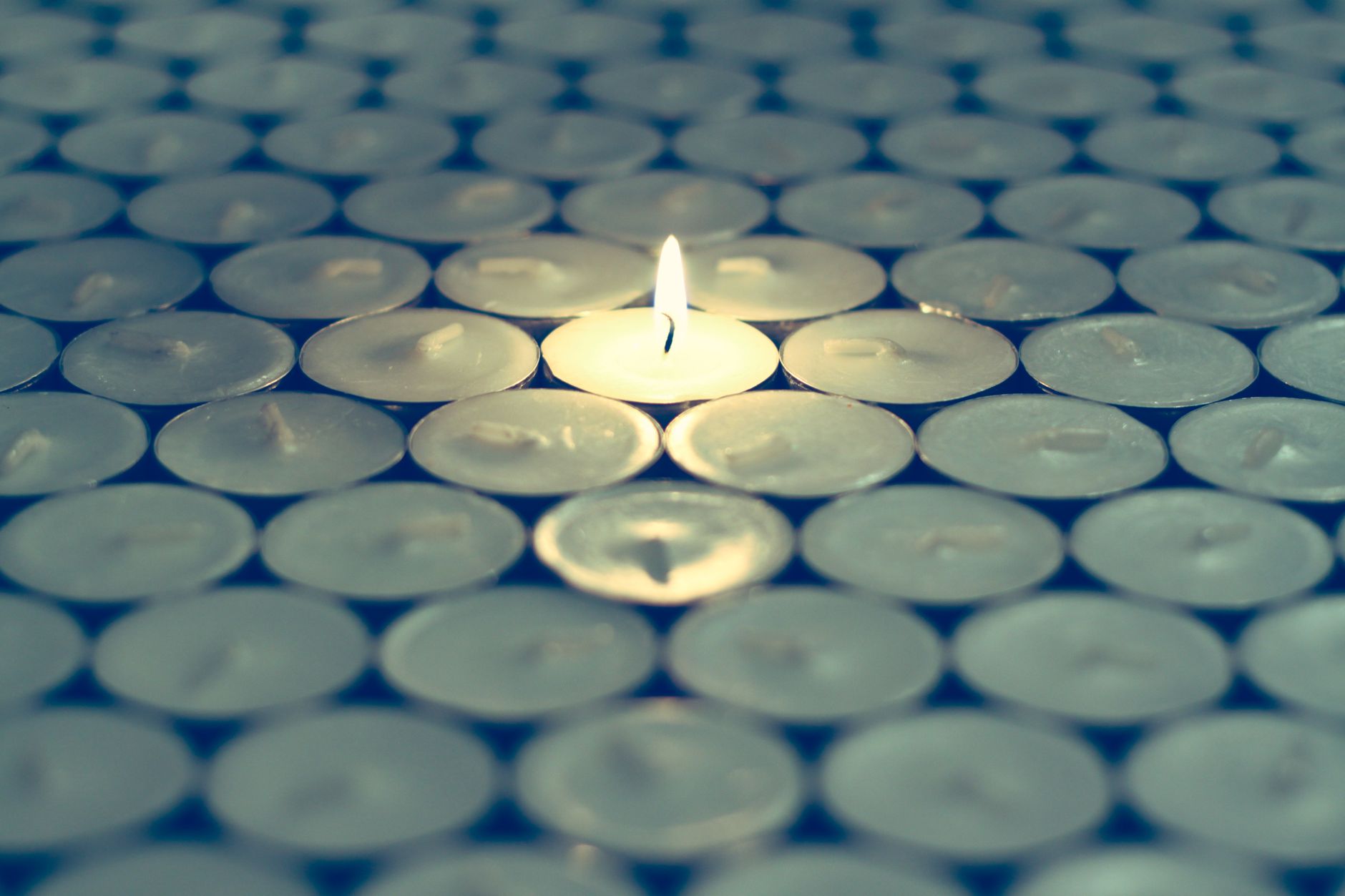 Grief & Loss